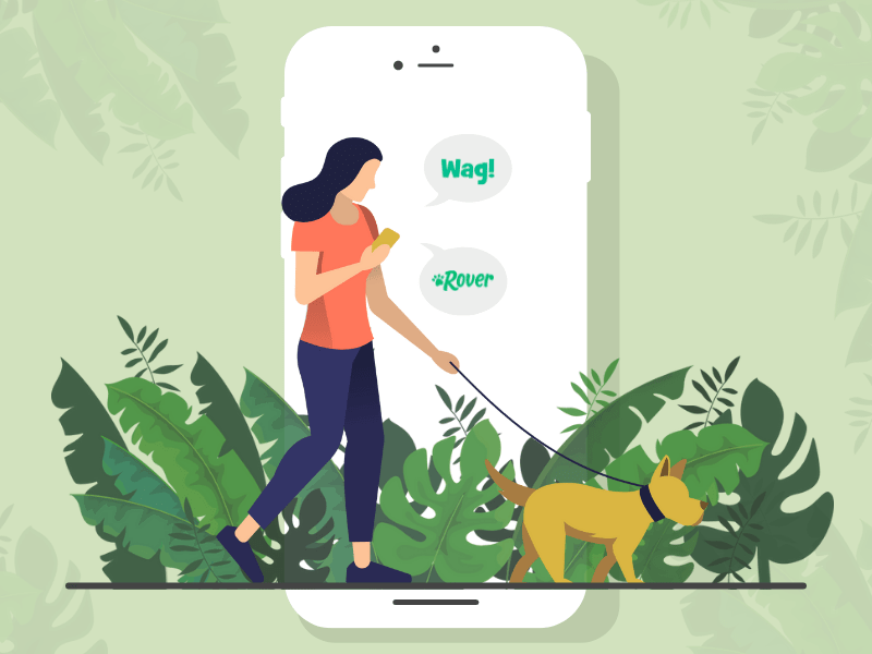 dog walking app